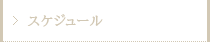 スケジュール